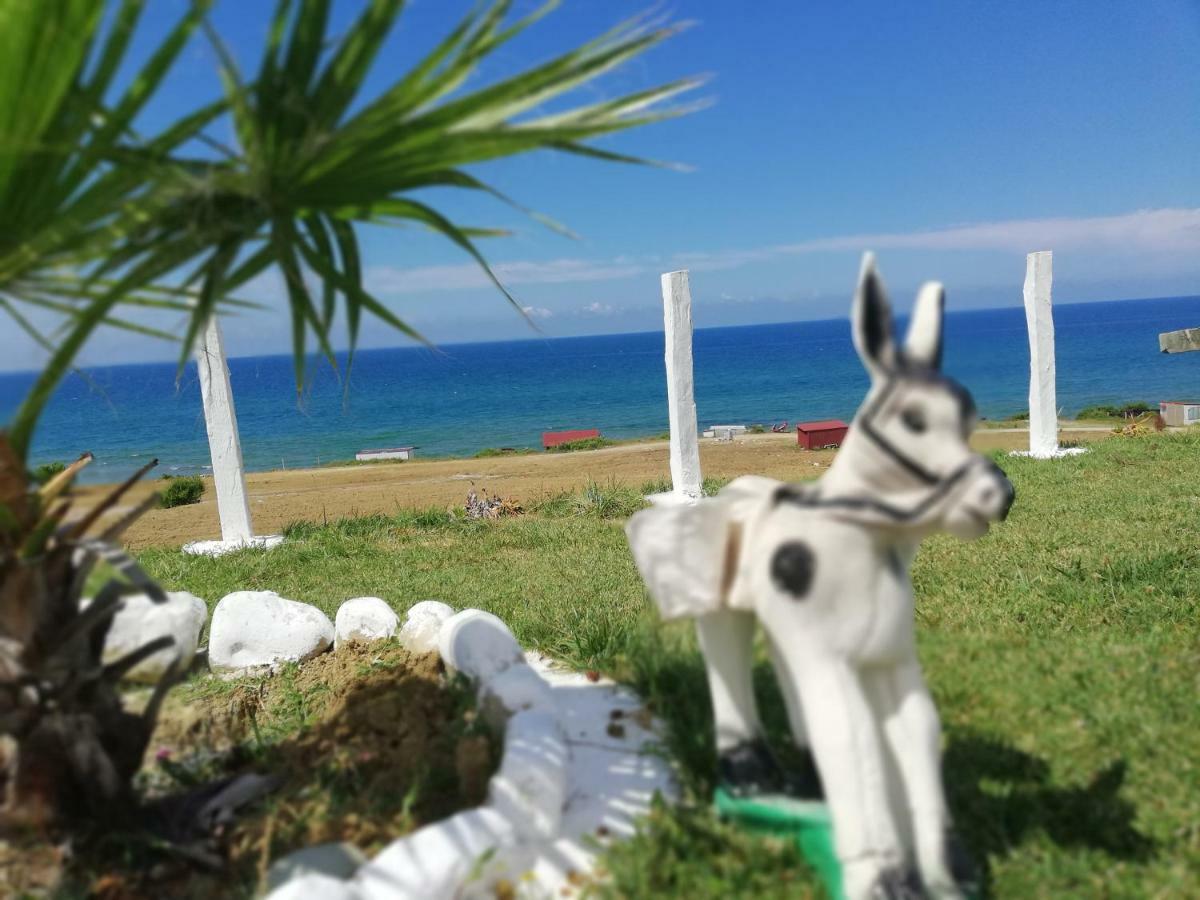 Perice Konak Sinop Exteriör bild
